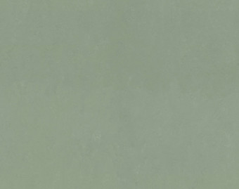 [100111113_25] Marmoleum Concrete - 3750 pine forest